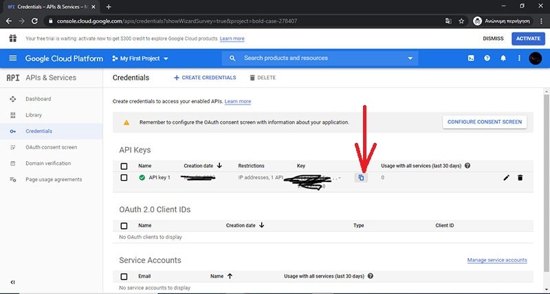 αντιγραφή API key