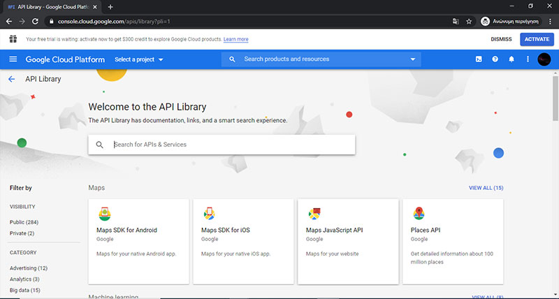 όροι χρήσης api key